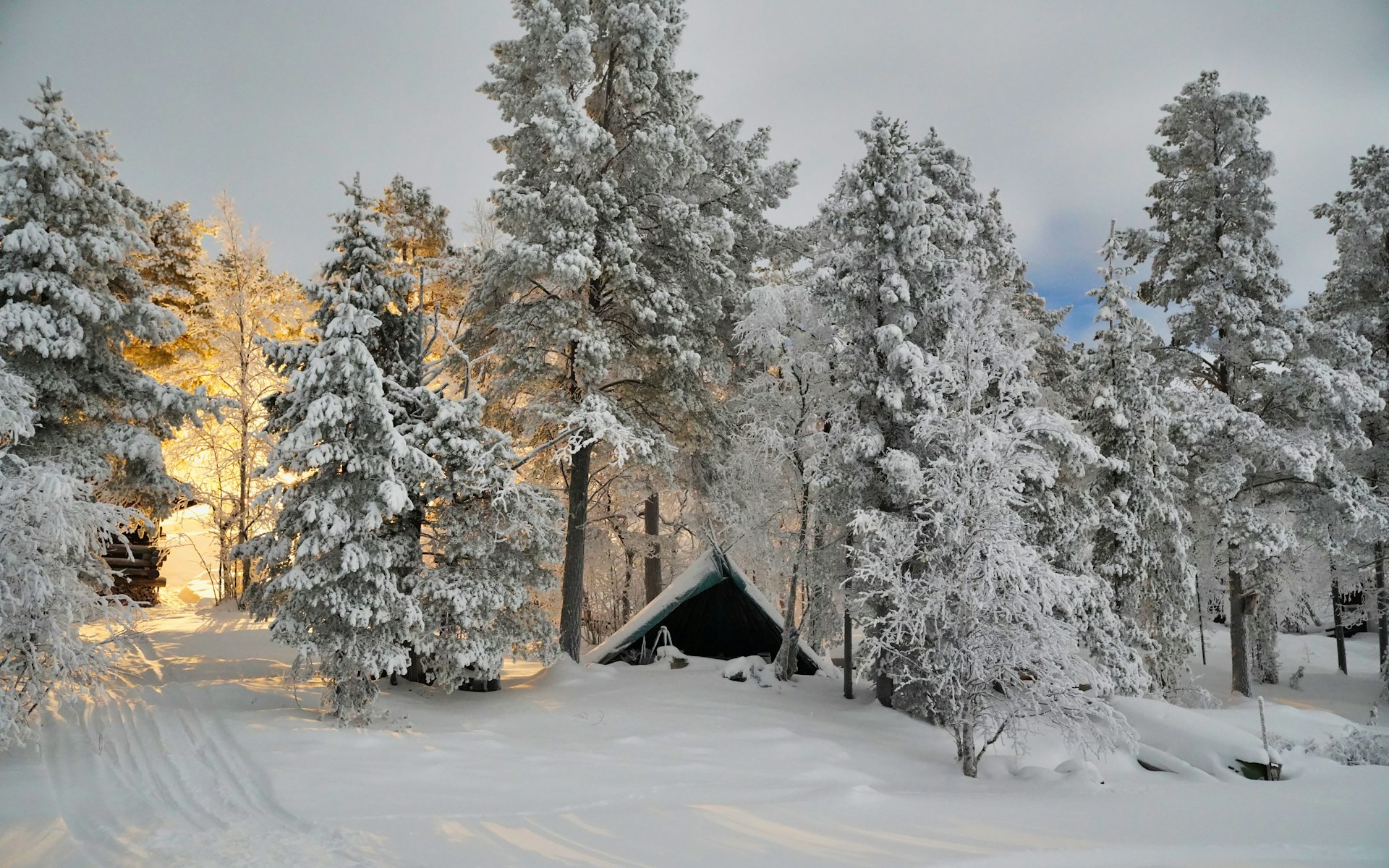 Lapland Northern Lights & Arctic Adventures - Featured Image