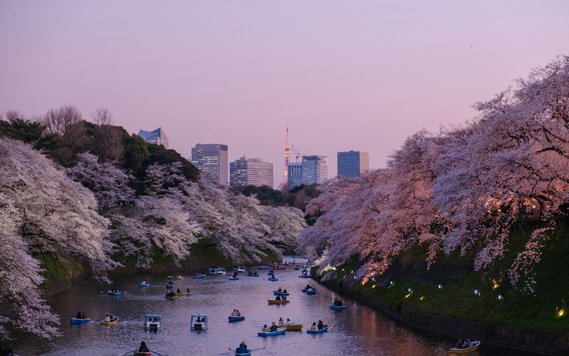 Japan — story 3