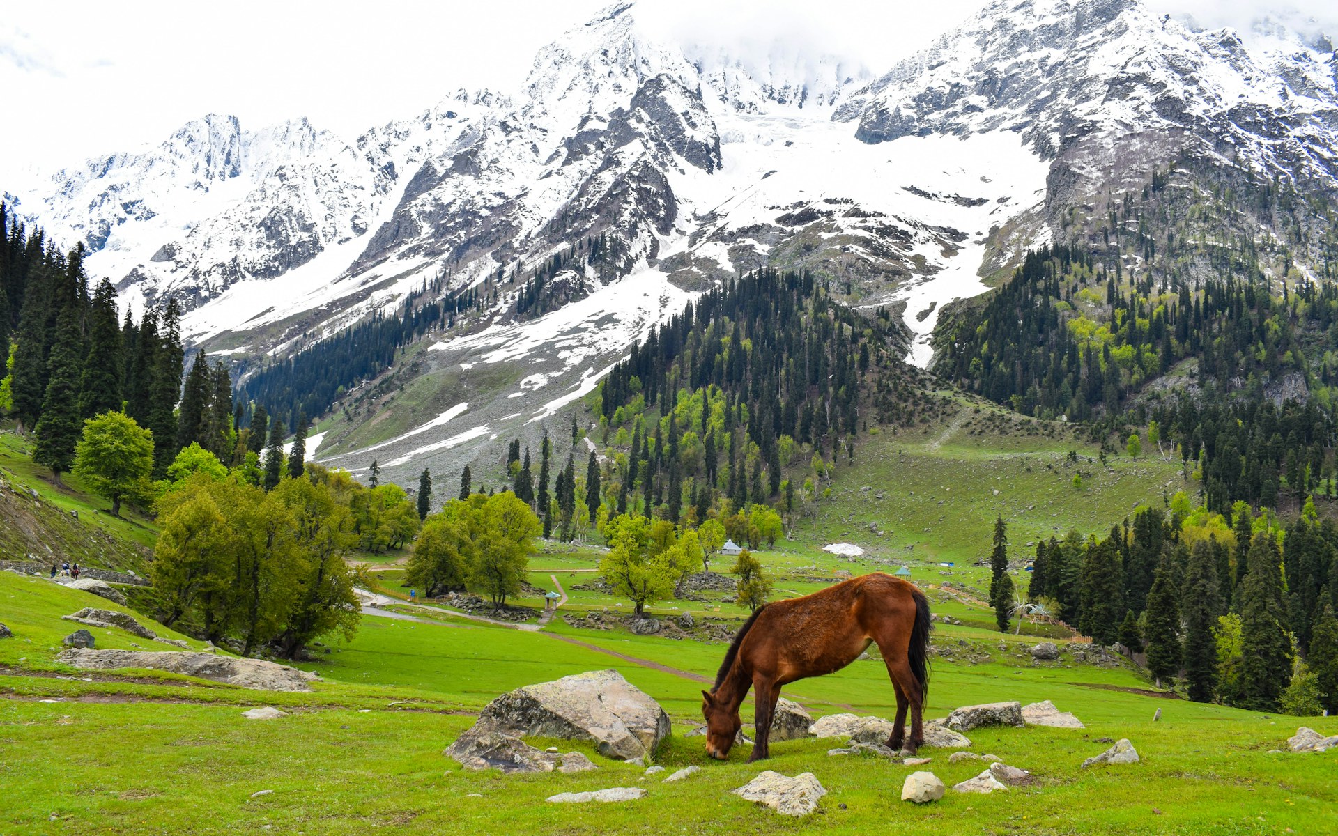 Kashmir — story 2