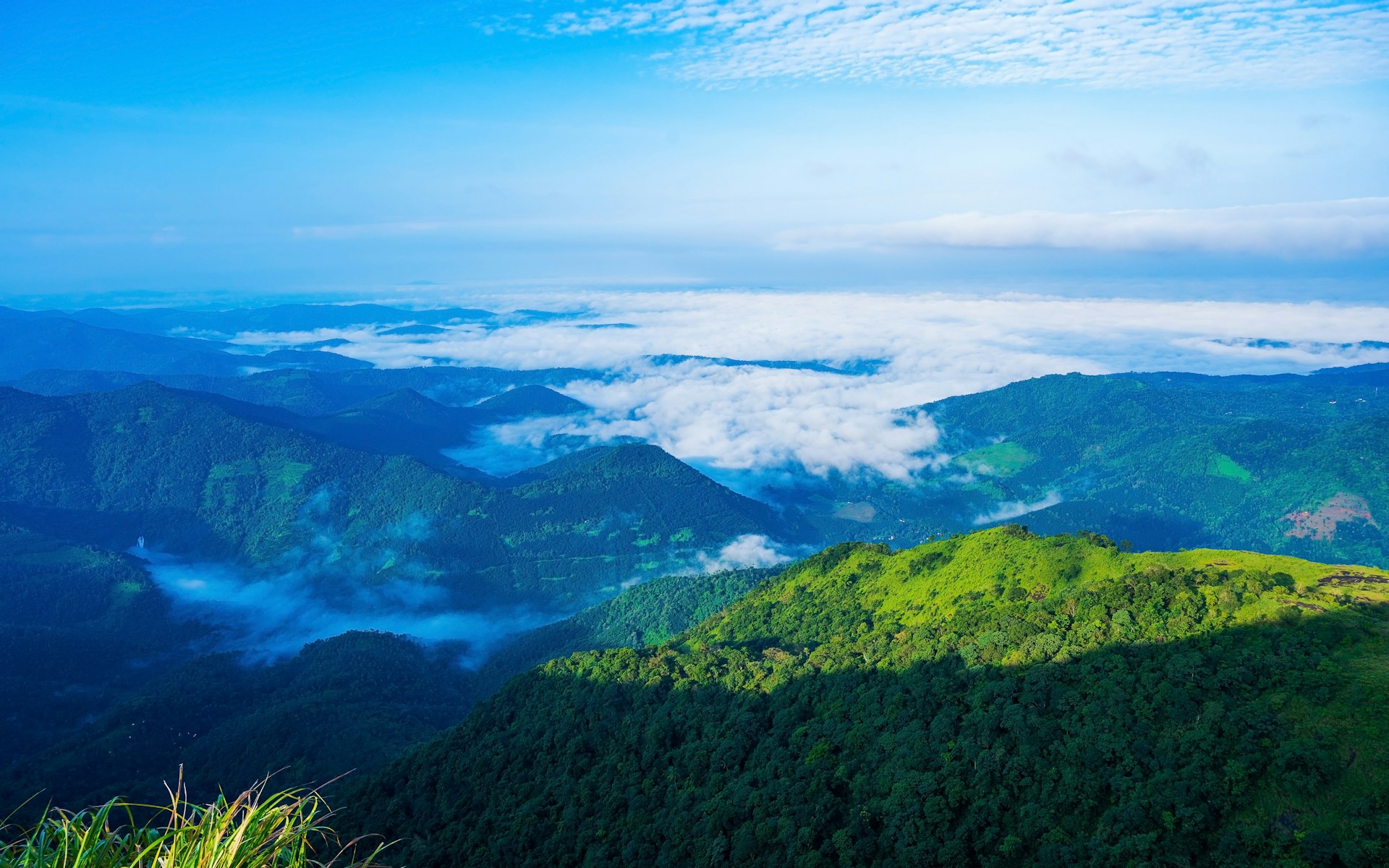 Kerala Tropical Trails & Backwaters - Featured Image