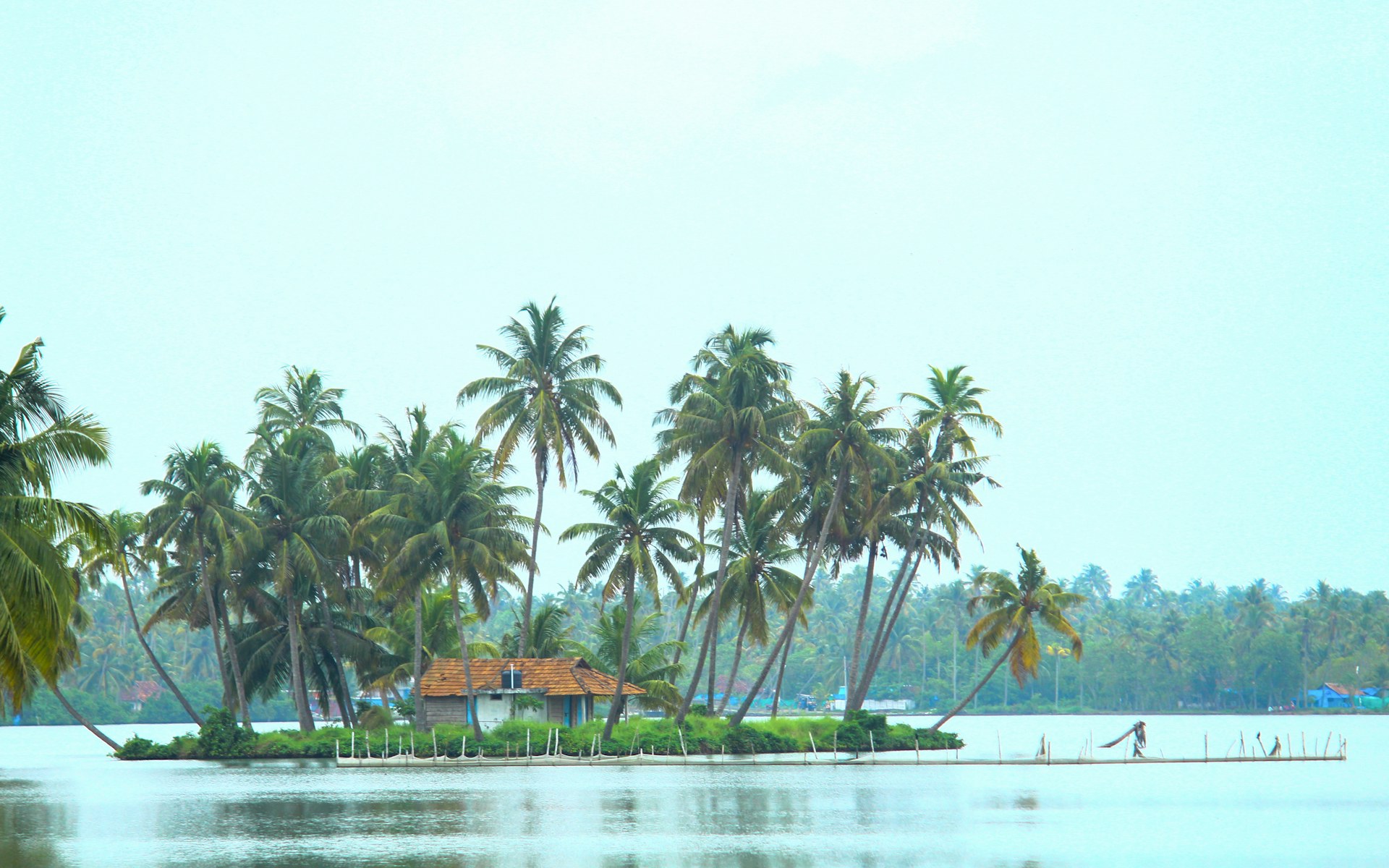 Kerala — story 3