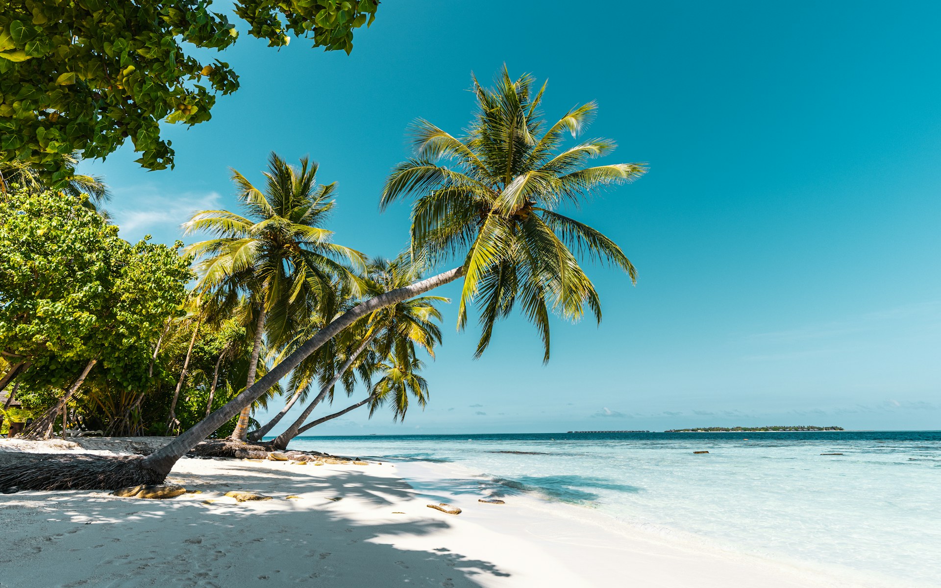 Maldives — story 1