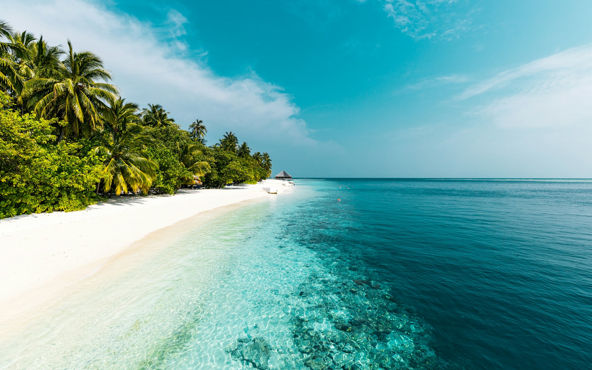 Maldives — story 3