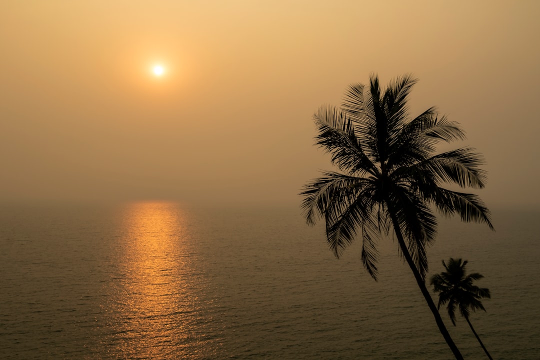 Goa Sunsets & Soirées
